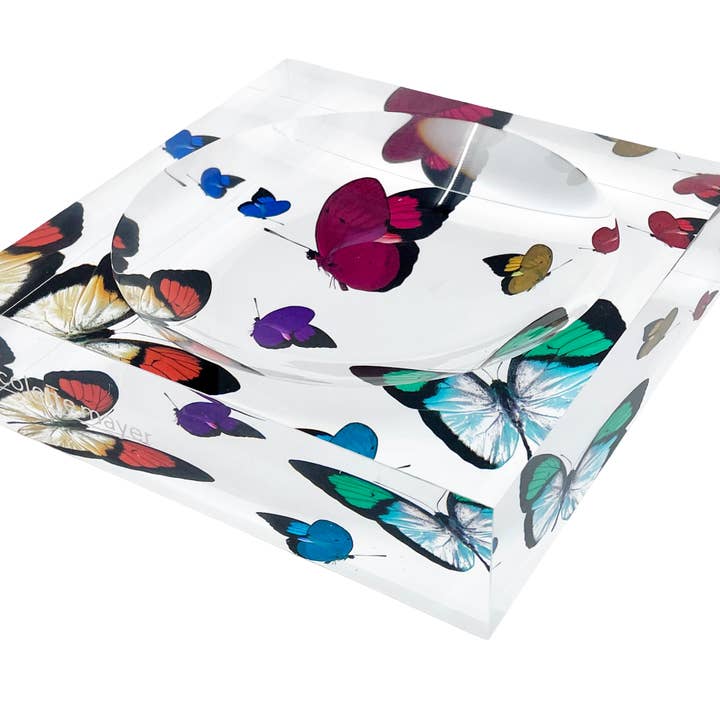 Butterflies Original Acrylic Candy Catchall Dish for wholesale by Nicolette Mayer Collection