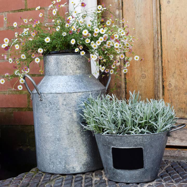 Ivyline – wholesale Plant pot – Outdoor Galvanised Milk Churn Planter H42cm3