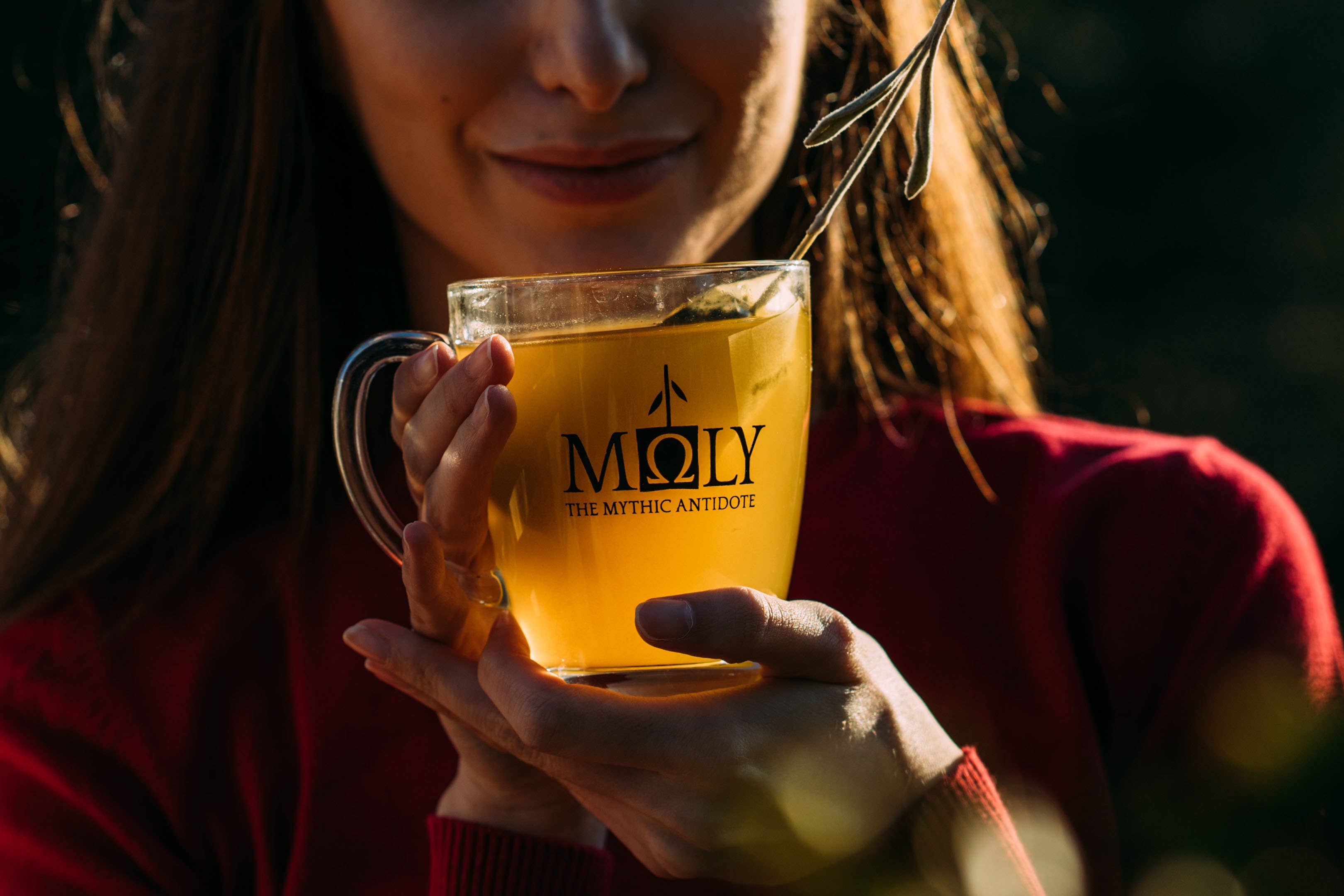 Moly the mythic antidote - Wholesale Health/Detox Tea - Herbal Tea bio, <Harmony> with herbal stem5