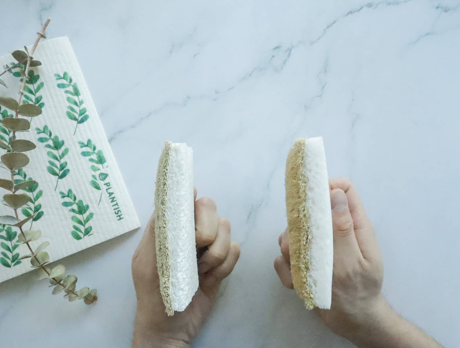 Plantish - Wholesale Cleaning Sponge - Eco Sponge3