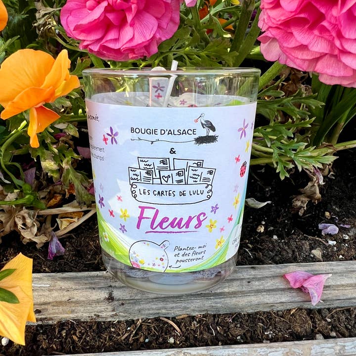 Les cartes de Lulu - Vendita all'ingrosso Candele regalo - Candele da piantare le carte di Lulu x Candela d'Alsazia12