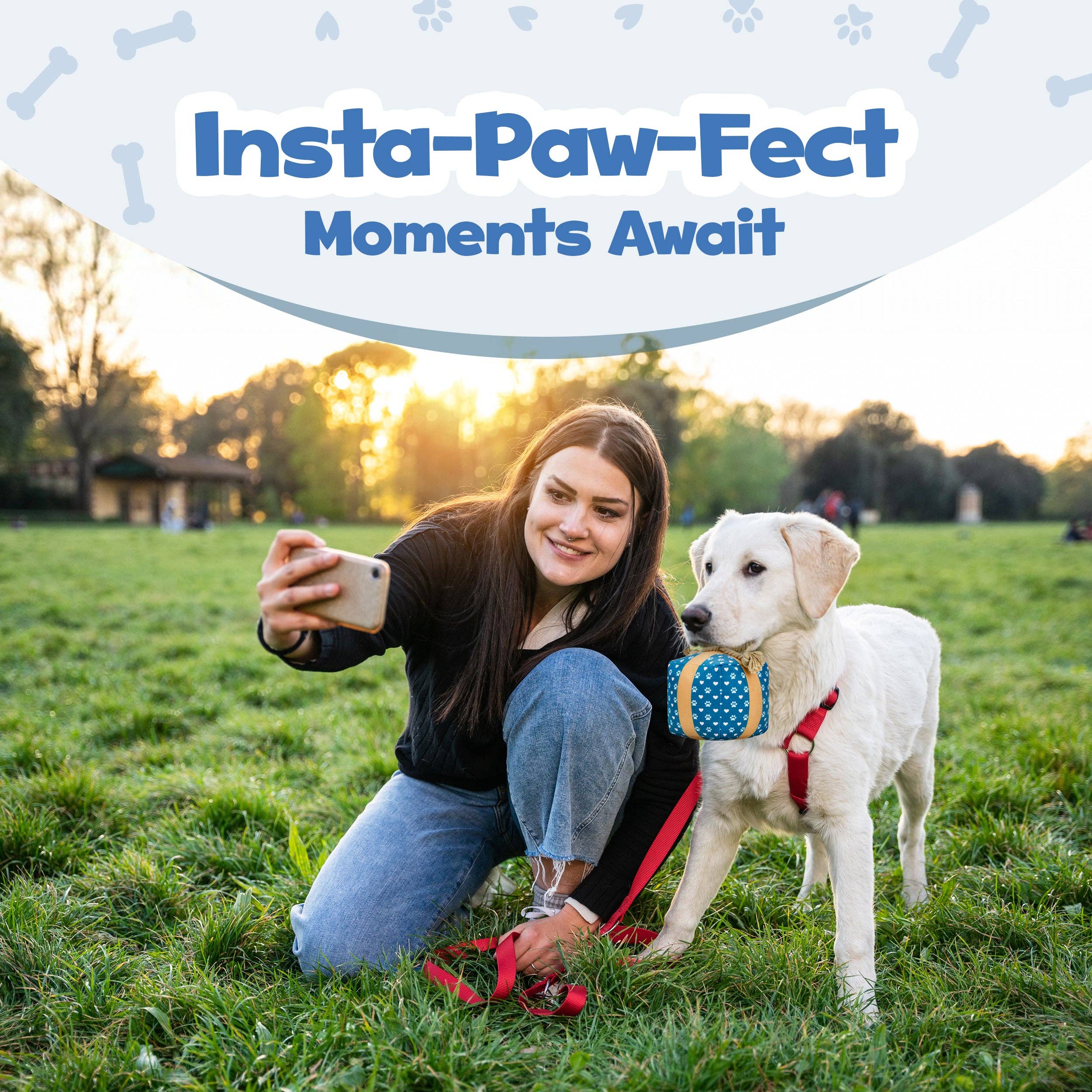 PUPROAR - Wholesale Pet Squeaky Toy - Dog - Gift Box Squeaky Dog Toy- Christmas & Birthday Dog Toys4