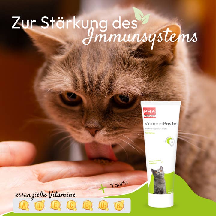 Kauartikel.com GmbH - Wholesale Pet Supplement - Cat/Dog - PHA vitamin paste for cats 100ml (5 pieces)
