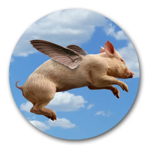 Black Wand Supply – Alfinete/botão de lapela por atacado – B34 - Botão Pin-Back0