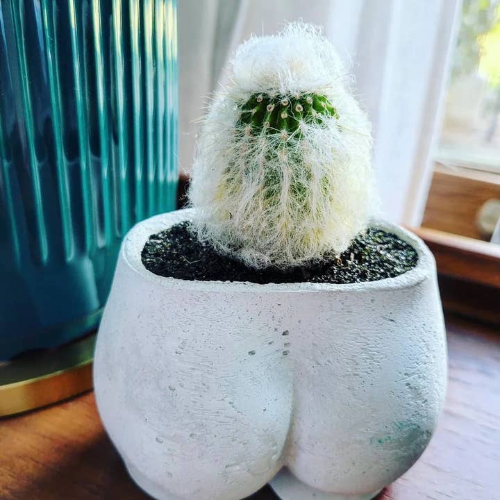Queen City Crete - Wholesale Plant pot - Mini Booty Planter4