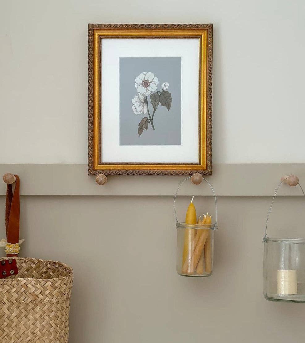 Solange Pilote - Wholesale Art Print - Anemone1