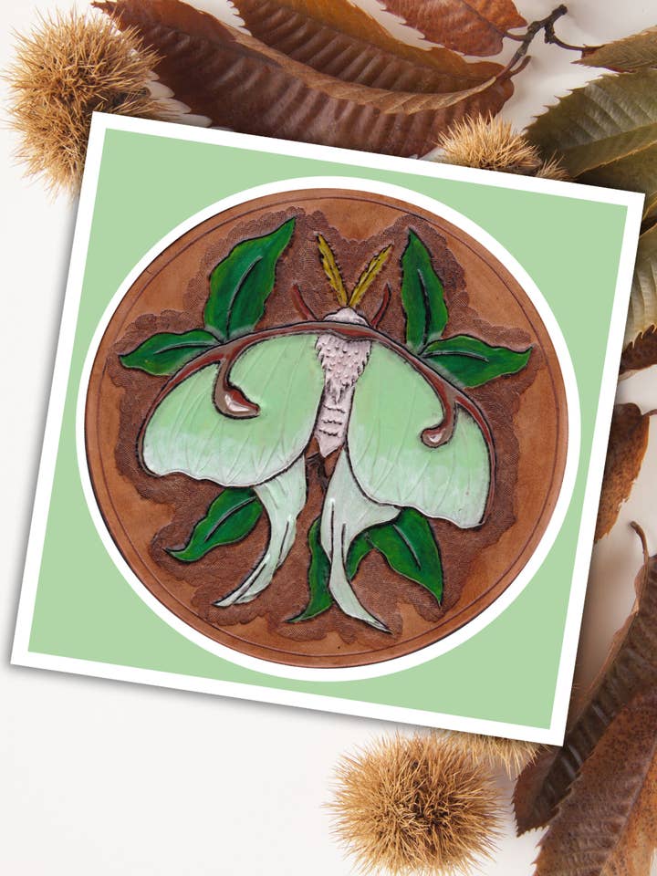Leather Moth Art Print for wholesale by Wyrd & Witchy Art