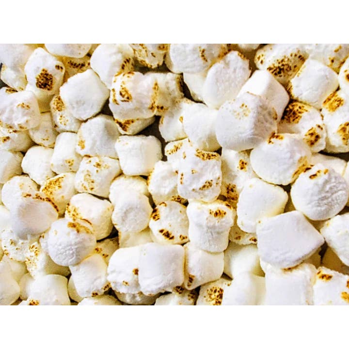 Freeze Dried Toasted Marshmallows for wholesale by Sweet Freez