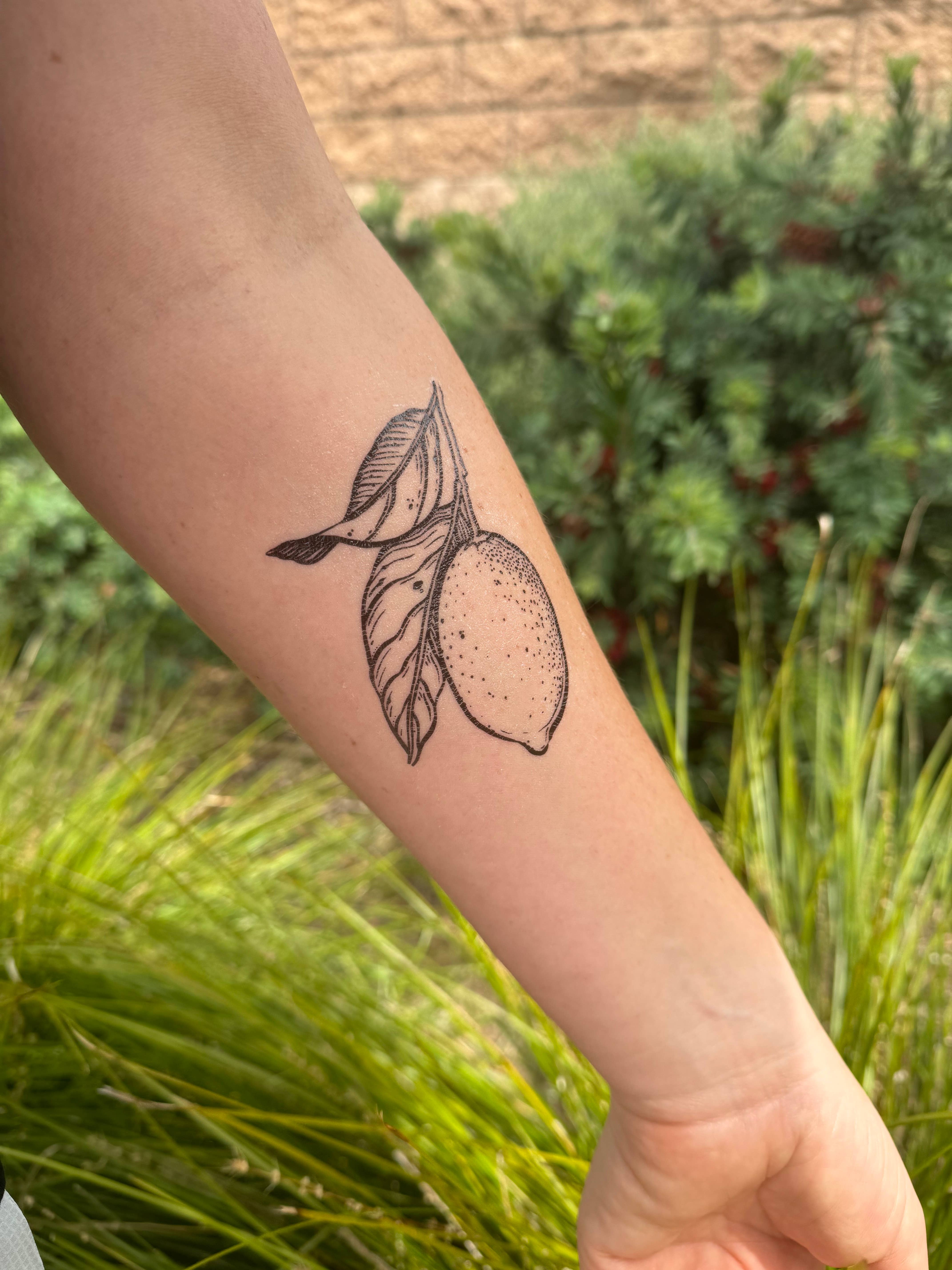 NatureTats - Wholesale Temporary Tattoo - Lemon Temporary Tattoo8