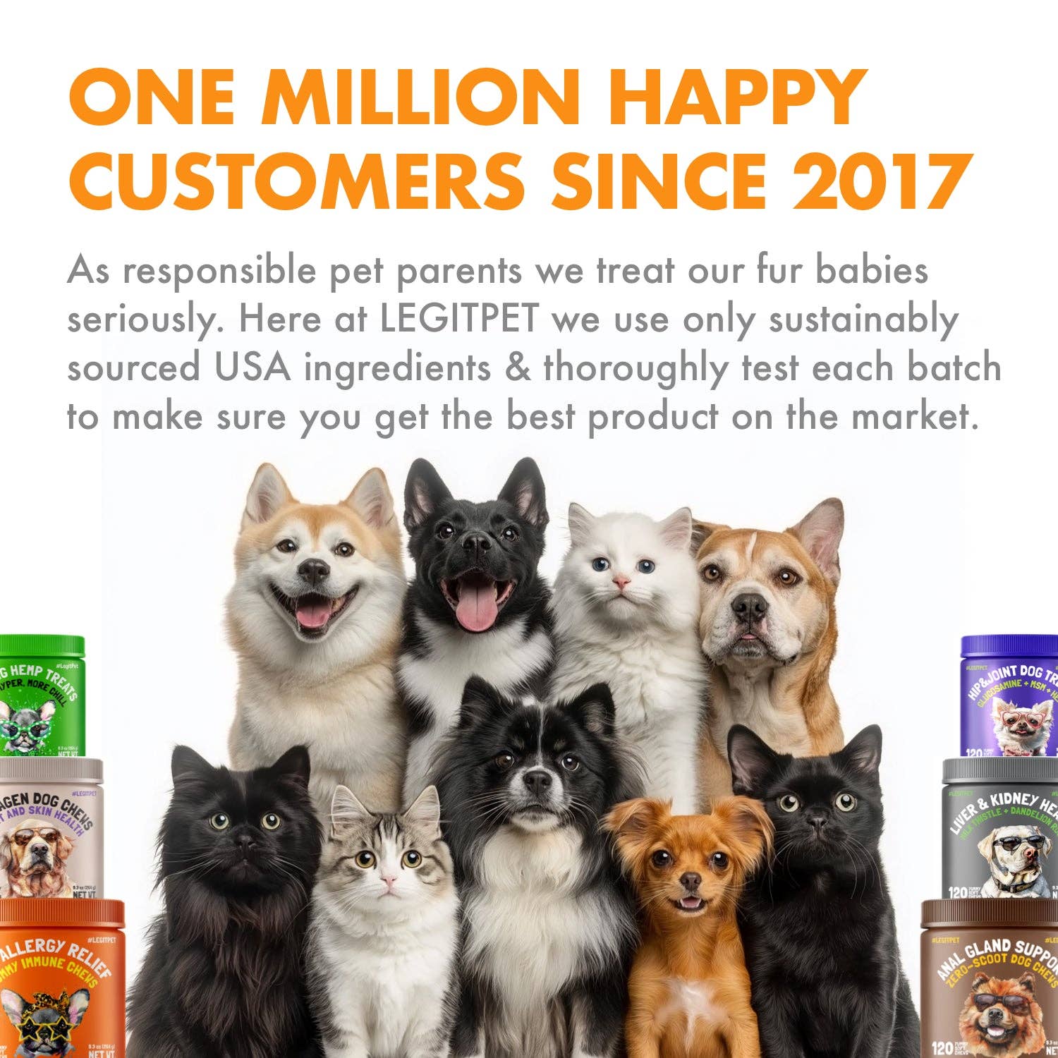 LEGITPET - Wholesale Pet Treats - Cat - Hairball cat treats with Psyllium Husk & Fish oil7