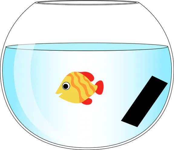 Bijin - Wholesale Water Filter - French vegetable charcoal VRAC water filter 1kg7