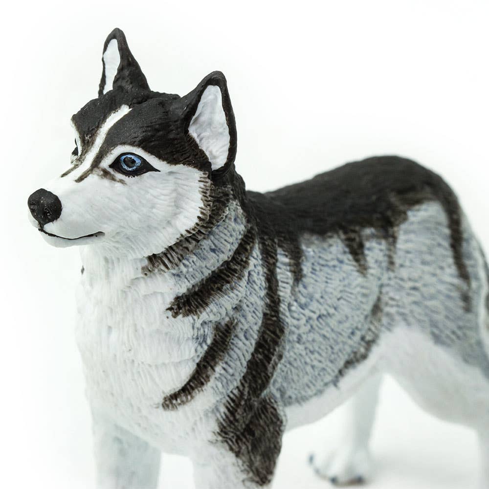 Safari Ltd. - Wholesale Decorative Figurine - Siberian Husky - 2552291