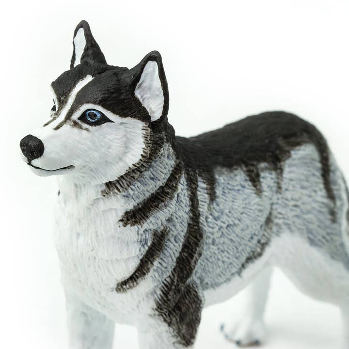 Safari Ltd. - Wholesale Decorative Figurine - Siberian Husky - 2552291