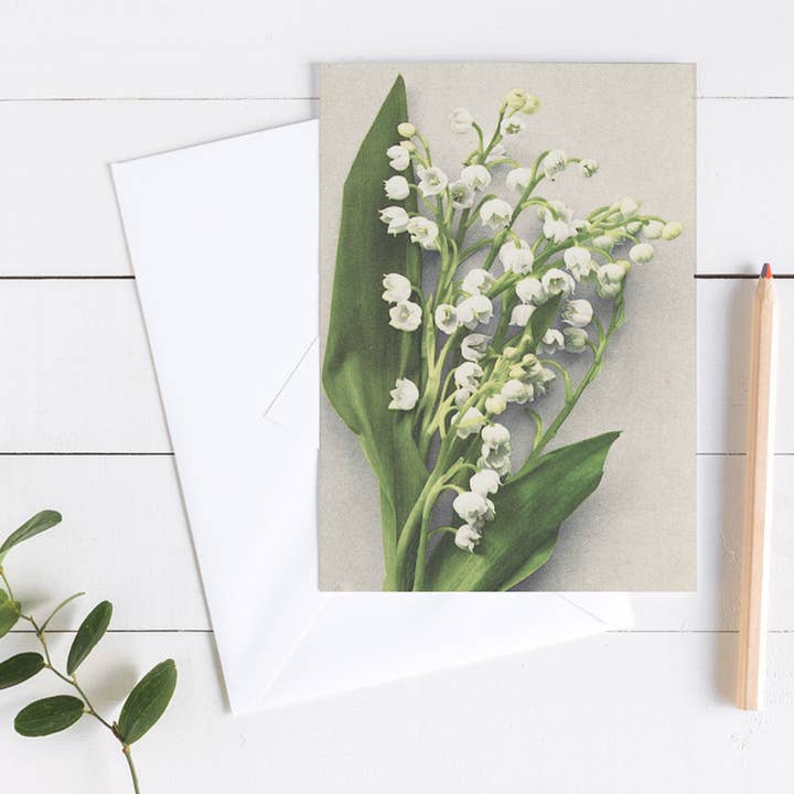 Tarjeta de condolencia de condolencia (Lirio de los Valles) para venta al por mayor de Wright Card Company