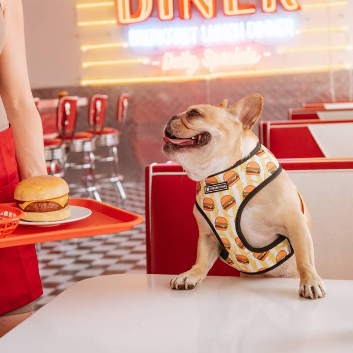 Frenchie - Wholesale Pet Harness - Dog - Frenchie Duo Reversible Harness - Burger N Fries3