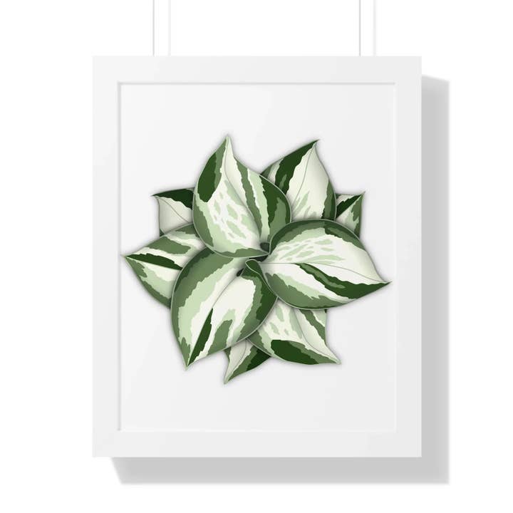 Manjula Pothos Print Framed Wall Art Botanical Poster With Heart Shaped Leaves Indoor Plant Decor for wholesale by The Potted Pixel