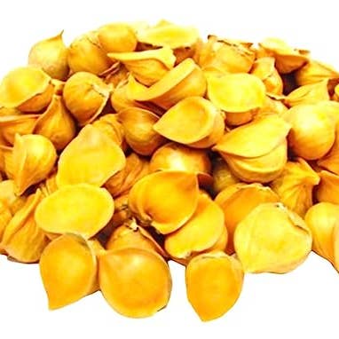 YERBERO - Wholesale Dried spice - Yerbero - Japanese Garlic | Ajo Japones ( Allium sativum ) 400+ Garlic Cloves | 1 LB (455gr) | Premium Quality