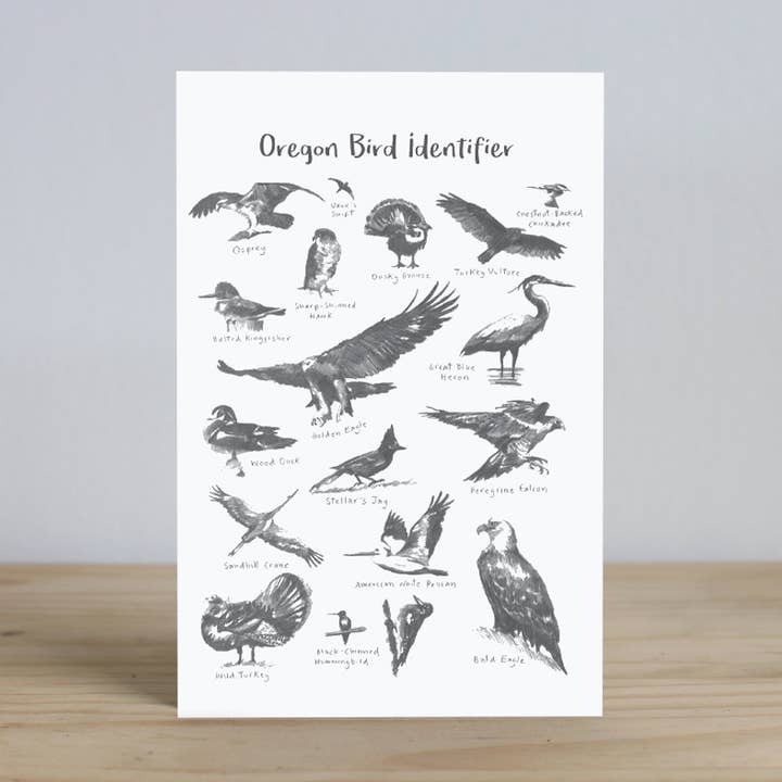 Cartoline di identificazione dell'uccello dell'Oregon per la vendita all'ingrosso da parte di IamBibby