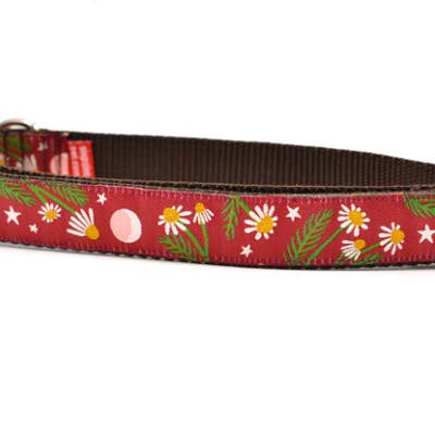 Chamomile-Burgundy for wholesale by six point pet