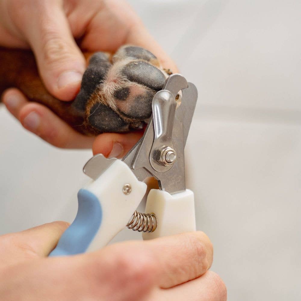 UKAL GREEN - Wholesale Pet Grooming Tool - Dog - PURALIA dog and cat nail clippers6