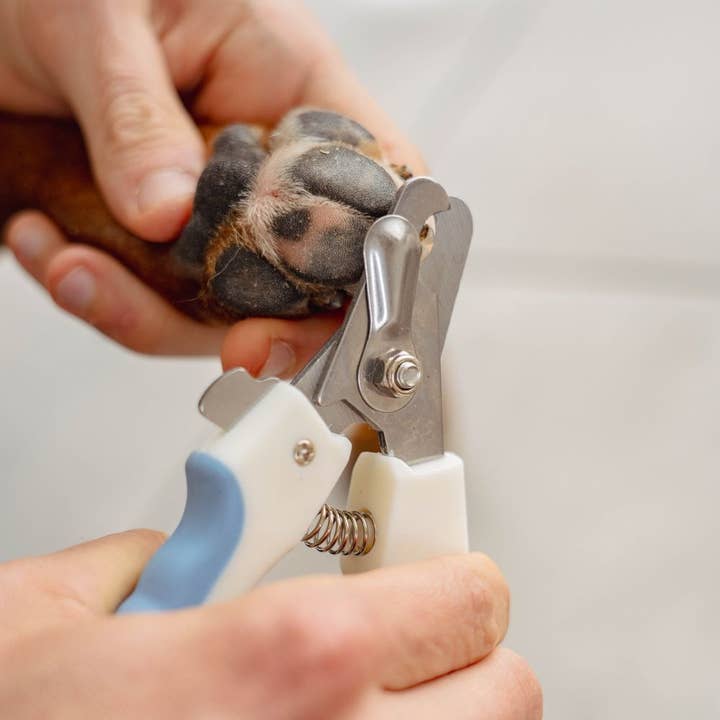 UKAL GREEN - Wholesale Pet Grooming Tool - Dog - PURALIA dog and cat nail clippers6