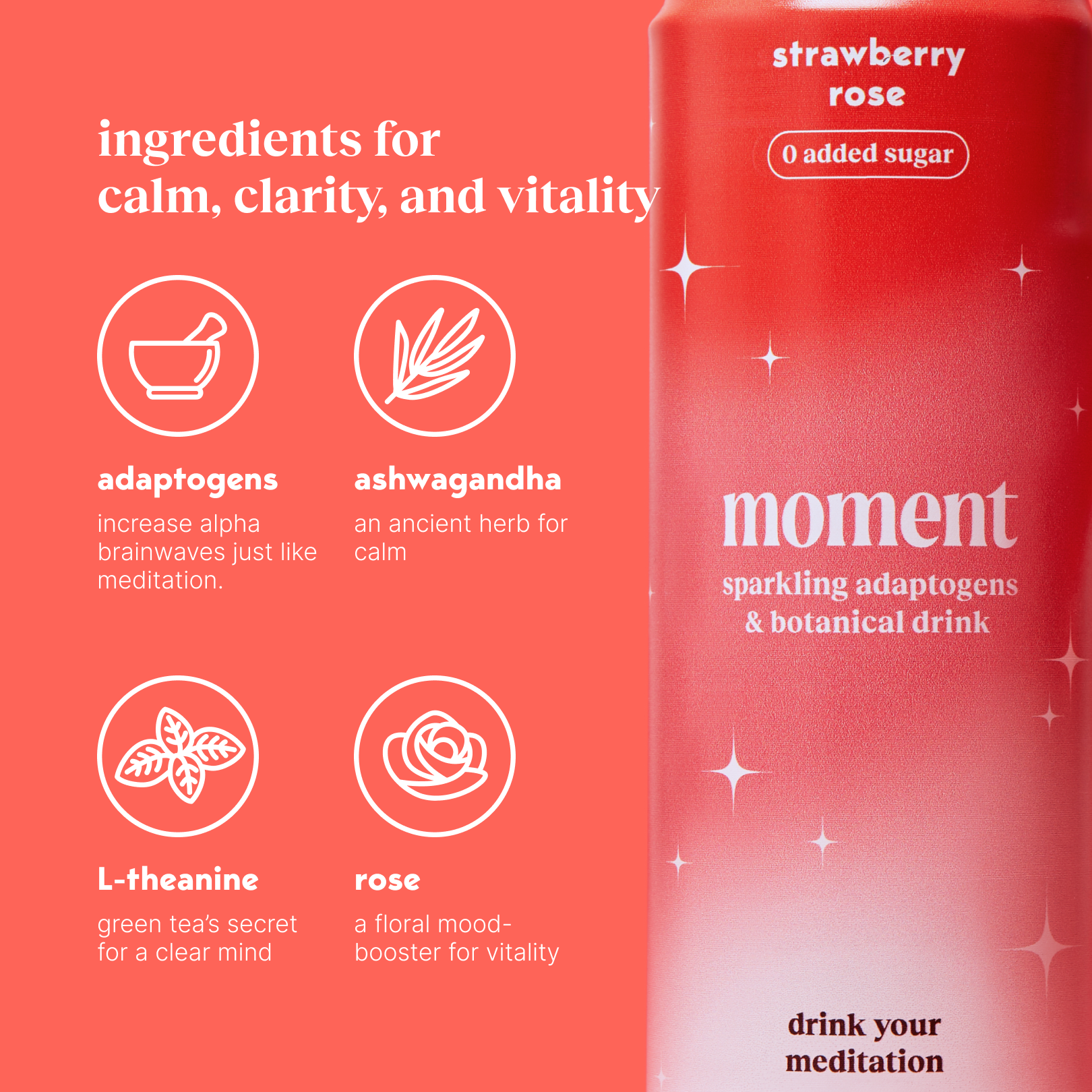 Moment - Wholesale Soda/Carbonated Drink - Strawberry Rose 12-pack Botanical Water1