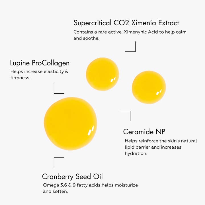 Étymologie Skincare - Wholesale Facial Oil - Barrier Repair Oil | Ceramide Facial Oil | Vegan Collagen
