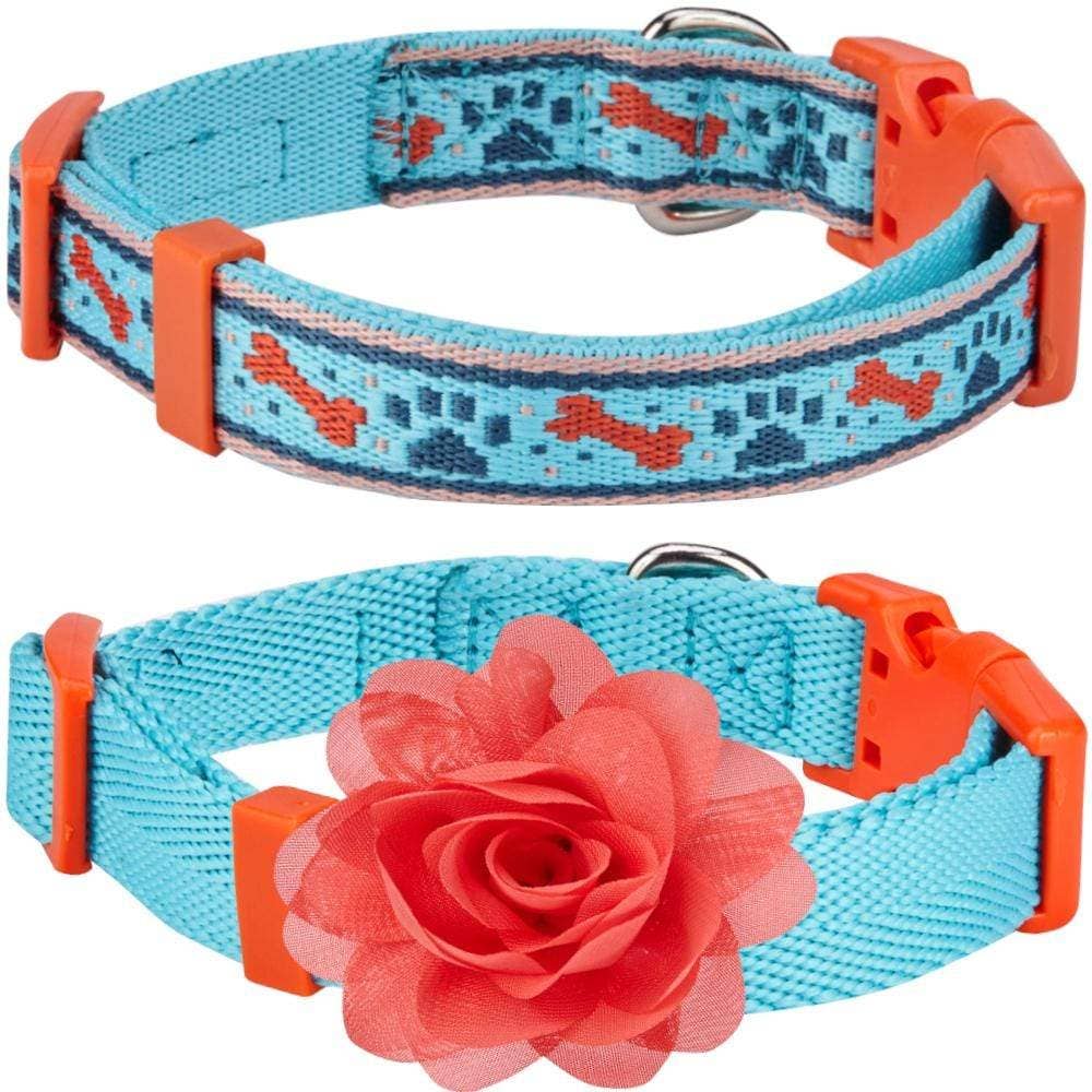 Blueberry Pet – Großhandel Haustierhalsband – Hund – Das Mix-and-Match-Designer-Hundehalsband14