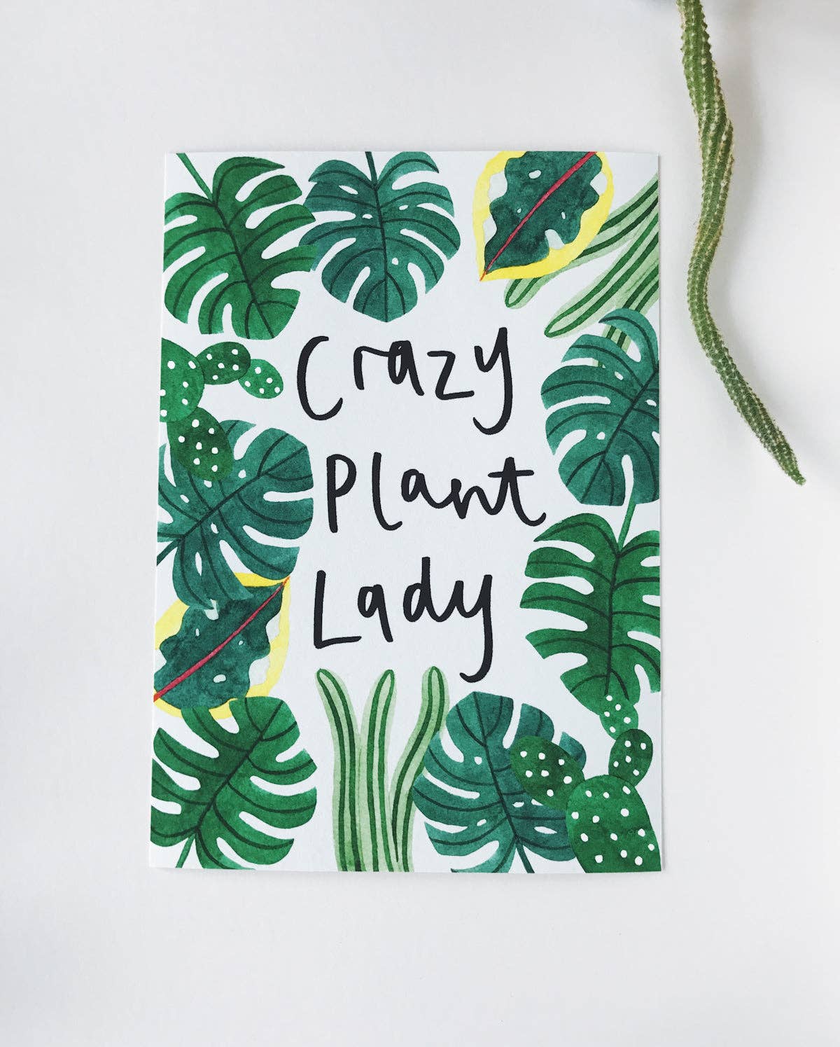 Katrina Sophia - Wholesale Art Print - Crazy Plant Lady A4 Print1