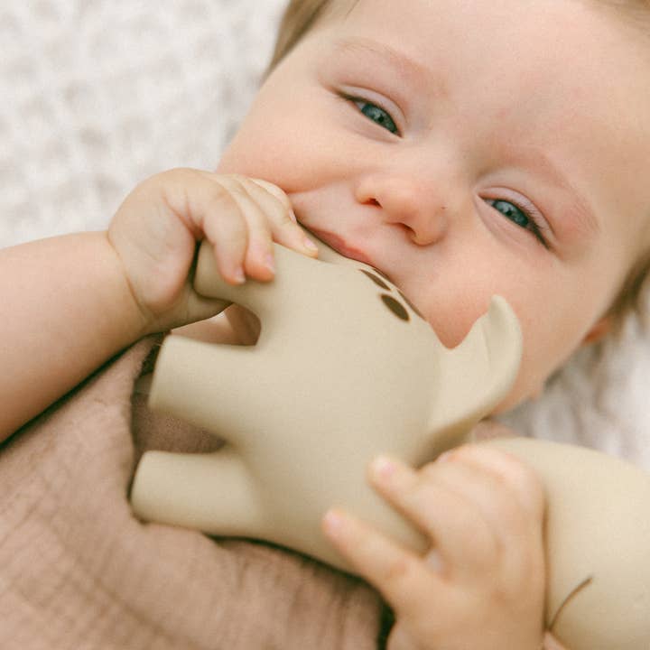 Winnie Parkes - Wholesale Teether (Not Clip-On) - Baby - Diplo the Dino-Dragon Natural Rubber Teether3