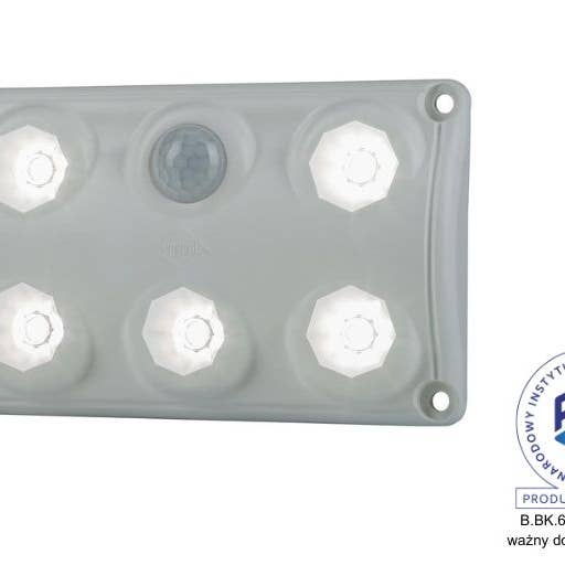 Innenleuchte mit Bewegungsmelder LWD 2156 für den Großhandel von RoadLites