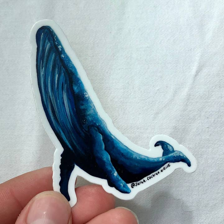 Autocollant baleine/Sticker baleine mignonne/Sticker baleine à bosse pour la vente par Sarah Cochran Artist