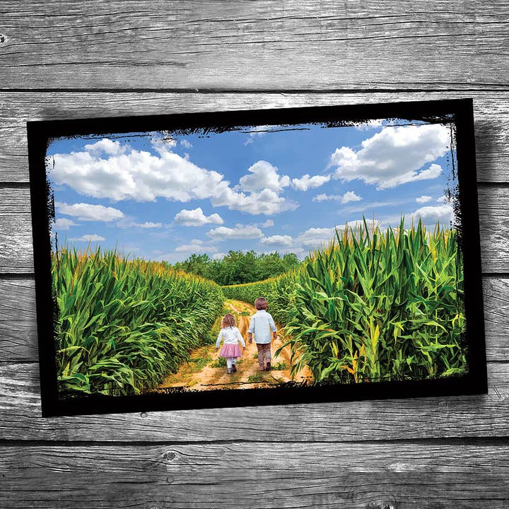 Corn Road Postcard for wholesale by Christopher Arndt Postcard Co.
