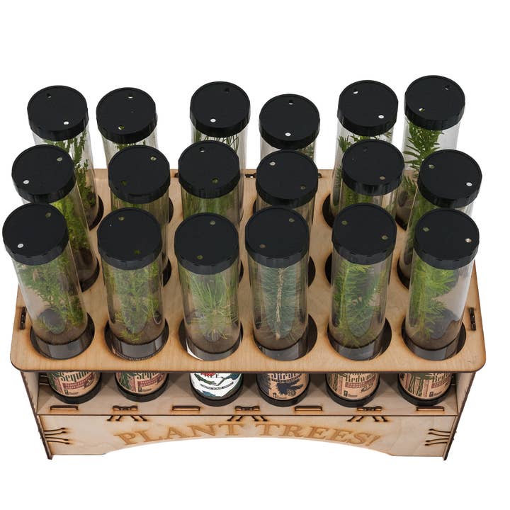 The Jonsteen Company - Wholesale Live Plant - Plant Trees Collection | 18 Live Trees w/ Display