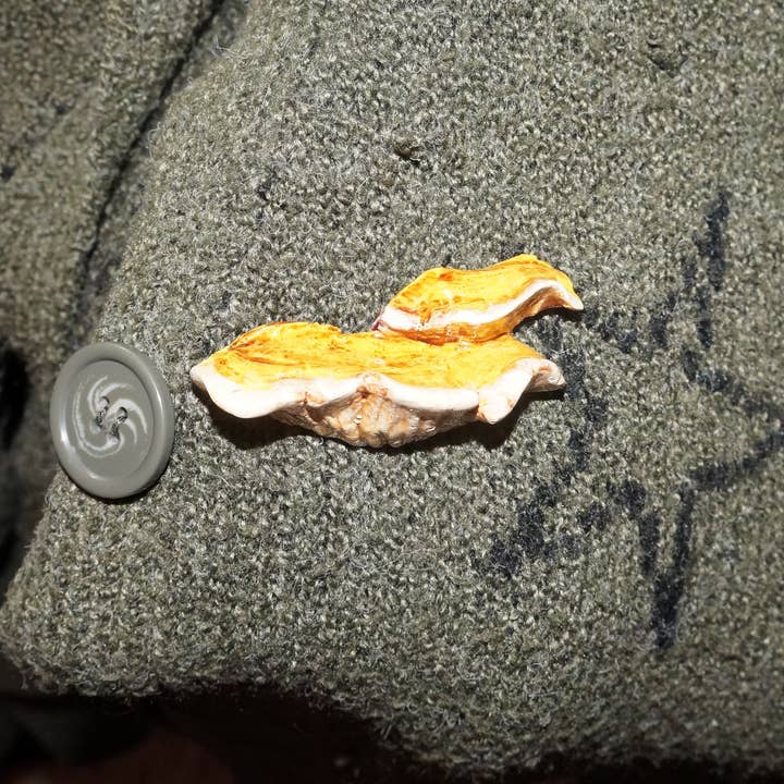 Goblin Grimm Gifts - Wholesale Lapel Pin/Button - Hand sculpted Shelf Mushroom Pins9