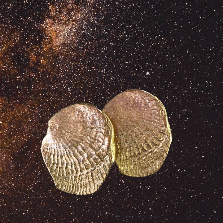 Collection WORN : : Boucles d'oreilles ovales en forme de coquille pour la vente par EVerything & NOthing