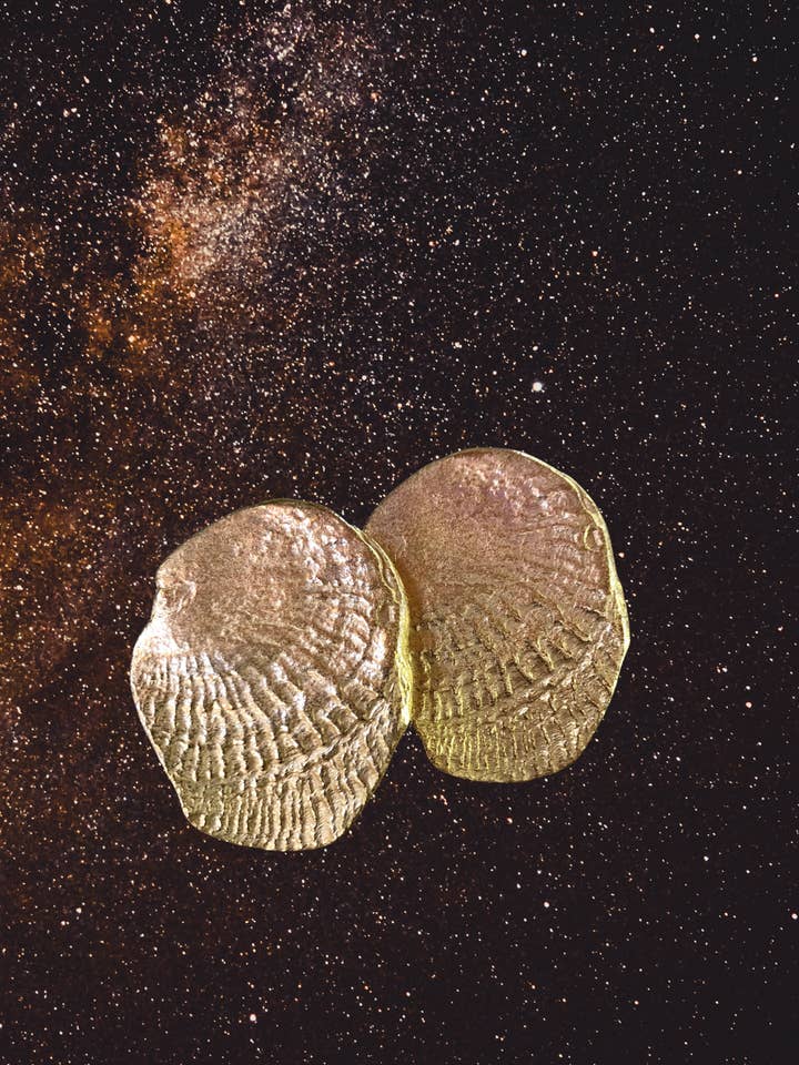 Kollektion WORN::: Ovale Muschelohrringe für den Großhandel von EVerything & NOthing