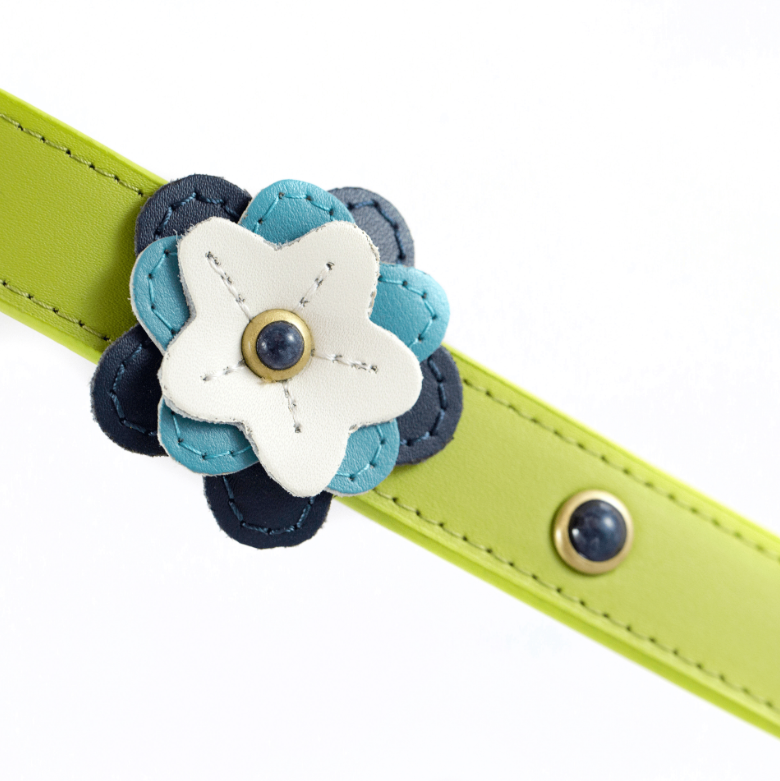 Dosha Dog – wholesale Halsband - Hund – Lycklig Camper Hundkrage/koppel - Grön, Blomma, Blå Sodalite1