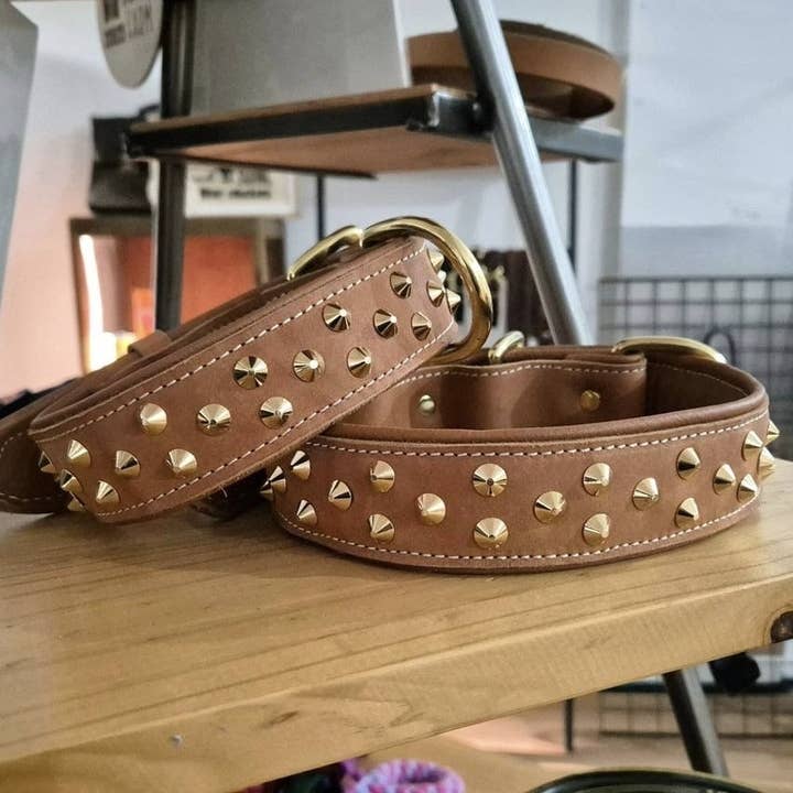 REMOVED BRAND – Engroshandel Halsbånd - Hund – 3,8 cm brede besatte kraver1