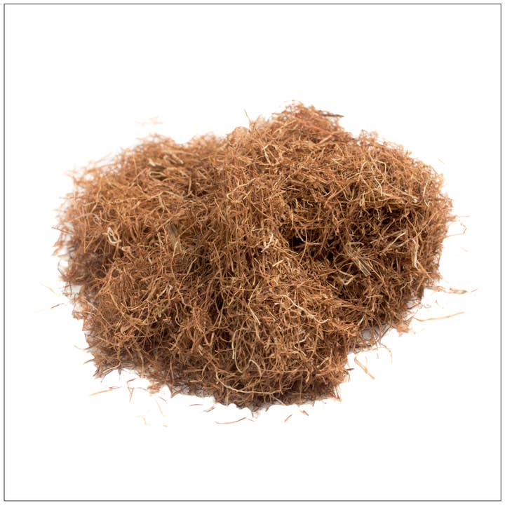 Dried Corn Silk for wholesale by Alive Herbals