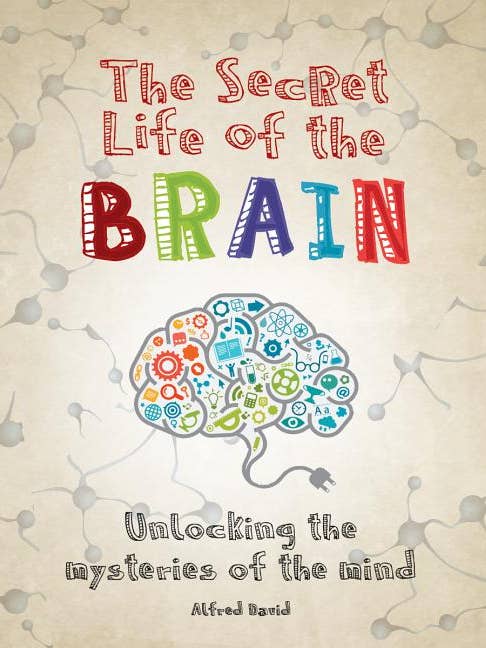 Secret Life Of The Brain: Mysteries Of The Mind for wholesale by Bradley's Book Clearance