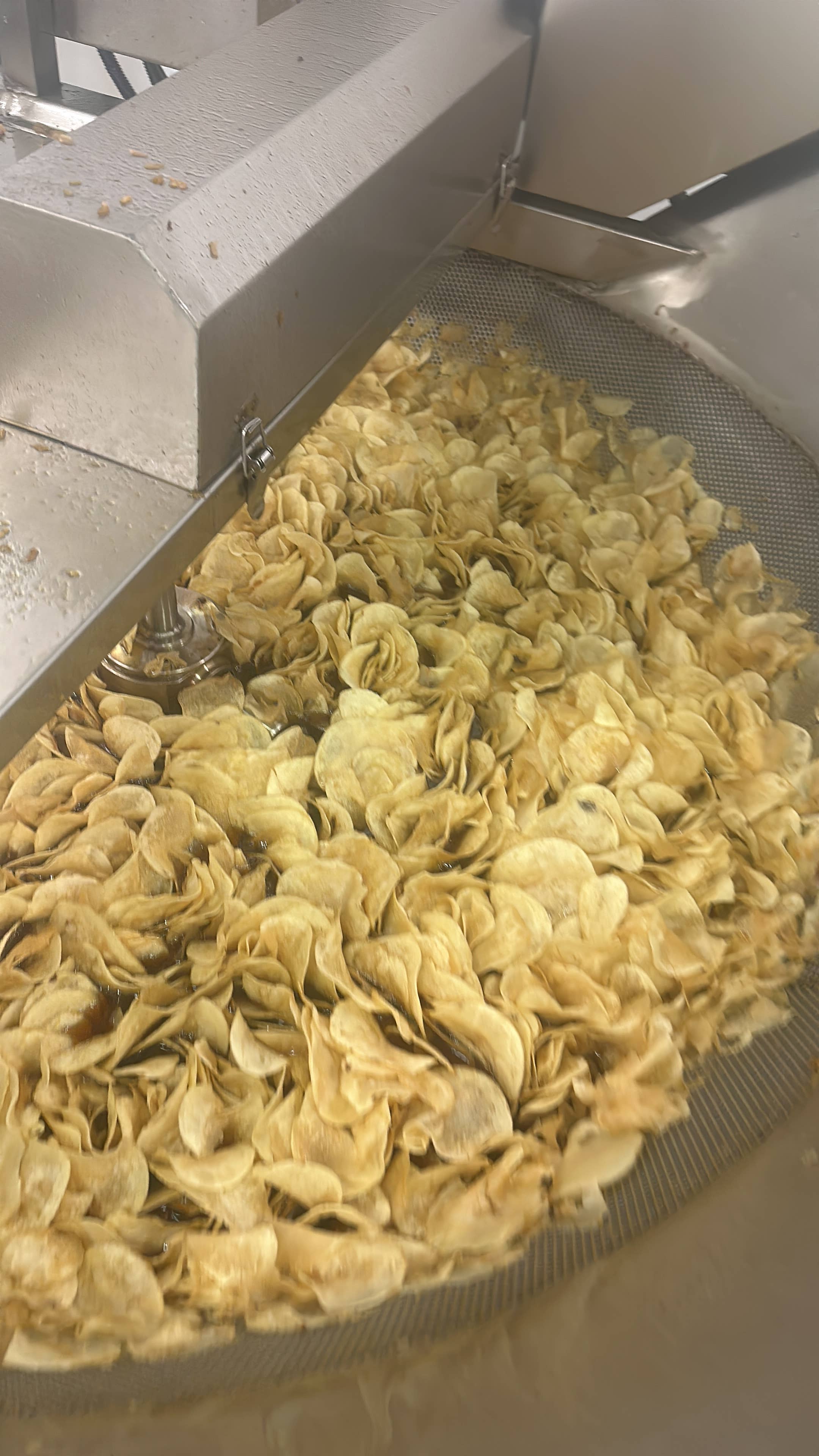 Litys Chips - Wholesale Chips - 18 OZ ASSORTED 3 FLAVORS  LITYS CHIPS  6