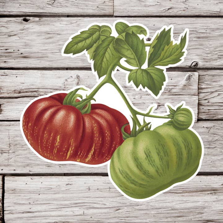 Tomatenaufkleber, Gemüseaufkleber, Fruchtaufkleber für den Großhandel von NatureCuts
