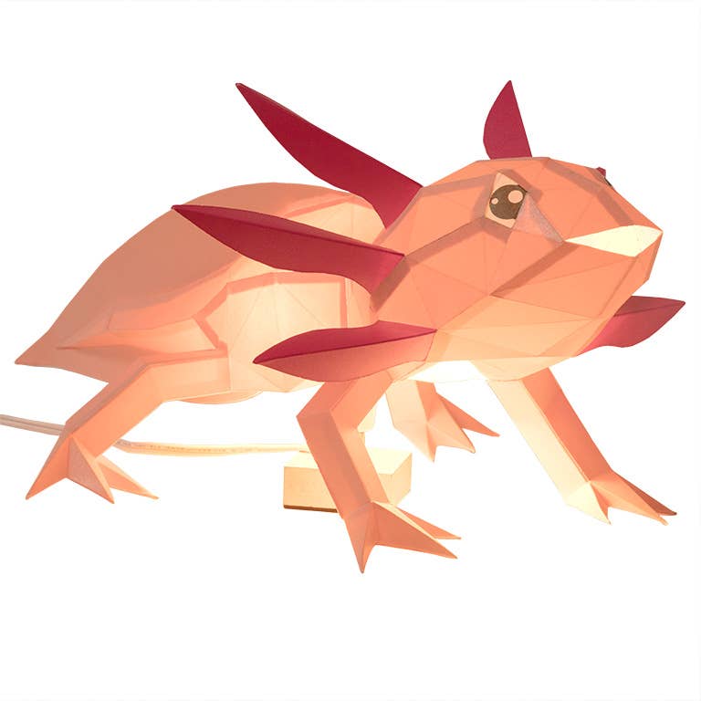 PAPERCRAFT WORLD - Wholesale DIY Craft Kit - Axolotl 3D Origami Model PaperCraft, Animal Lamp7