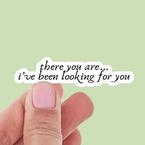 Eccoti, ti stavo cercando Adesivo in vinile per libro, ispirato ai libri, adesivi per Kindle con citazioni, adesivi per amanti dei libri Romantasy per la vendita all'ingrosso da parte di Limes & Lilly