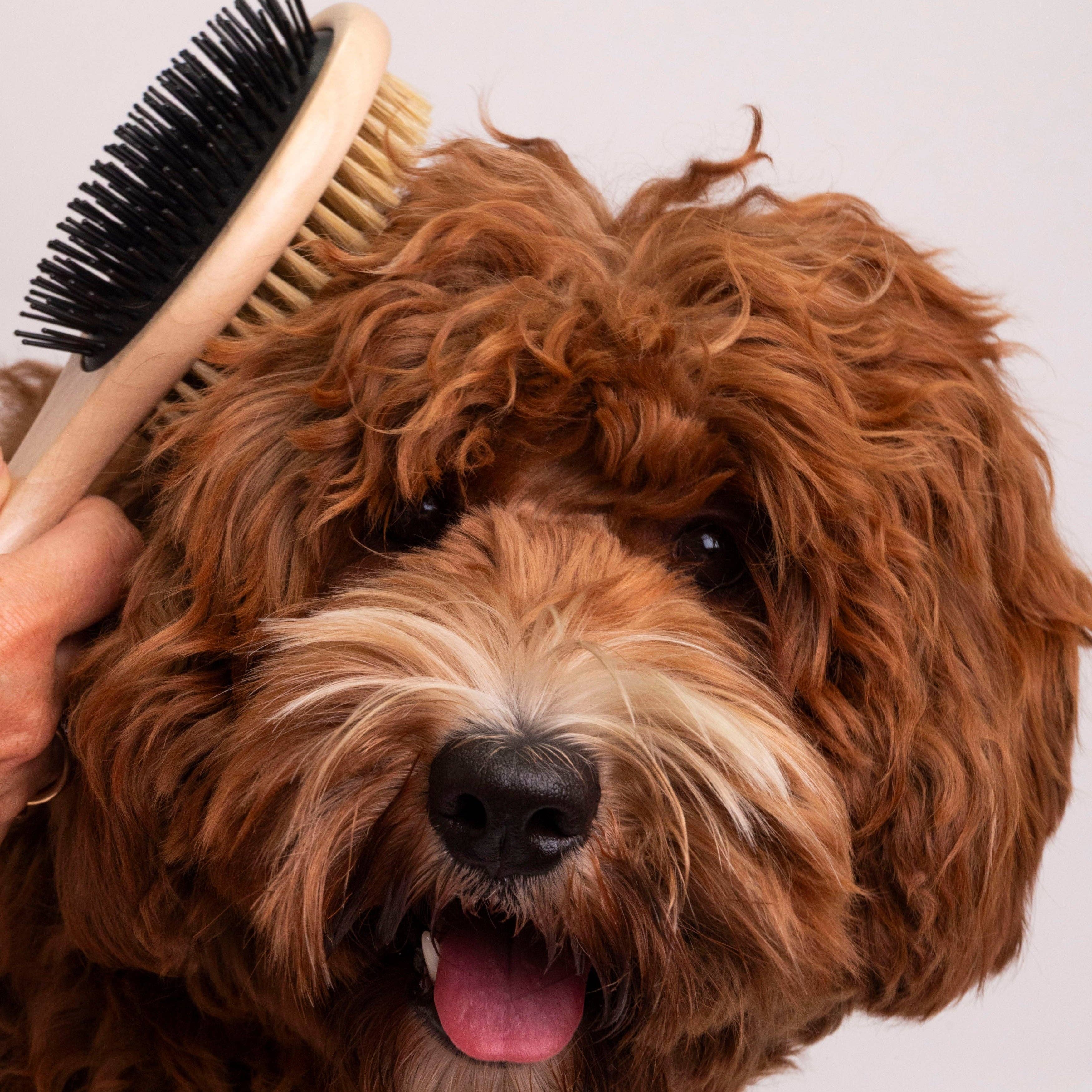 Trimmi – Großhandel Haustierbürste – Katze/Hund – Doppelseitige Bürste1