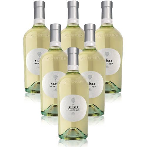 Metina SAS - Wholesale White Wine - Pinot Grigio Alìsia Veneto IGT Astoria The Classics 75 cl.1