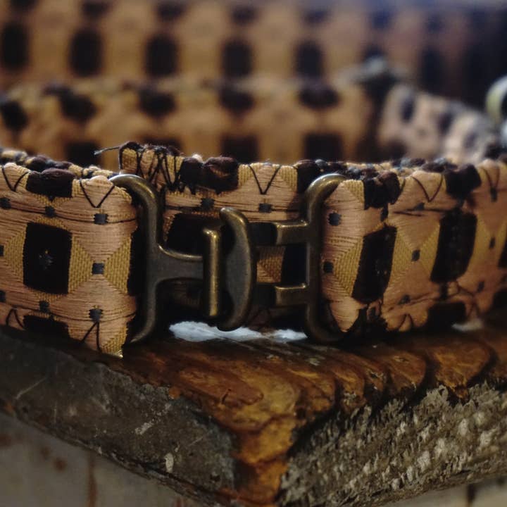 hundsfutter - Vendita all'ingrosso Collare - Cani e gatti - Collare con guinzaglio Fran4