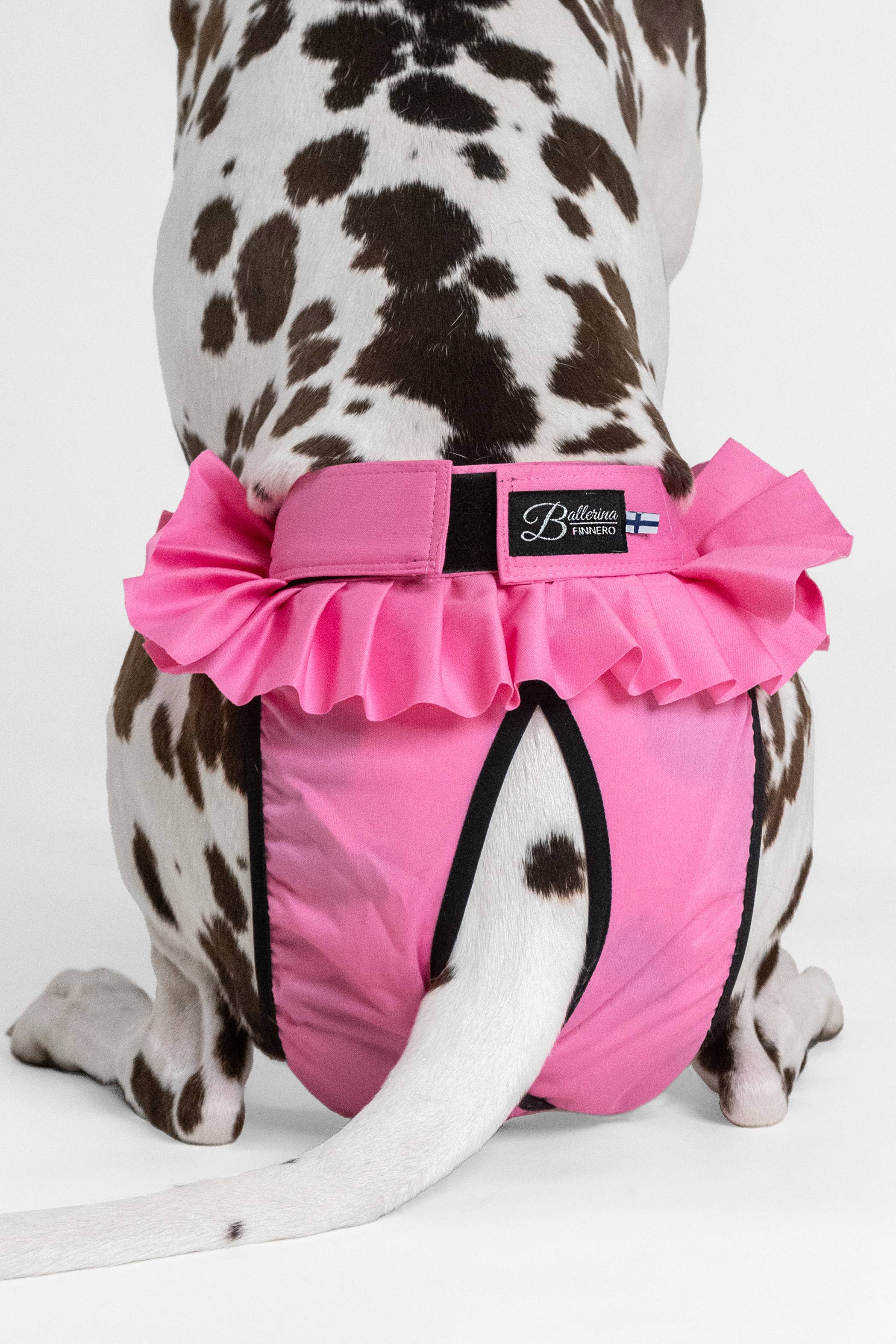 FINNERO – wholesale Husdjursblöja - Hund – FINNERO Ballerina hundhygienbyxor, 5 färger, tvättbara20