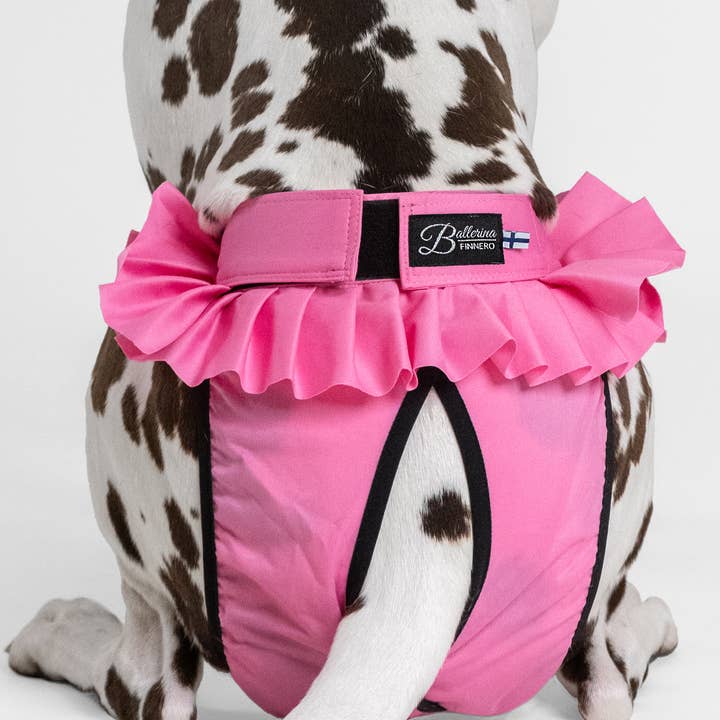 FINNERO – Engroshandel Bleer til kæledyr - Hund – FINNERO ballerina hundehygiejnebukser, 5 farver, vaskbare20